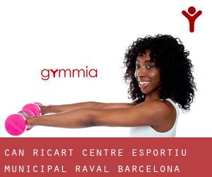 Can Ricart, Centre Esportiu Municipal Raval (Barcelona)