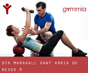 DiR Maragall (Sant Adrià de Besòs) #4