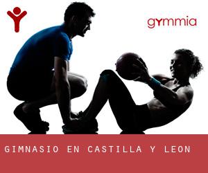 gimnasio en Castilla y León
