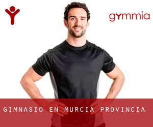 gimnasio en Murcia (Provincia)