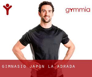 Gimnasio Japón (La Adrada)