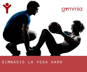 Gimnasio La Vega (Haro)