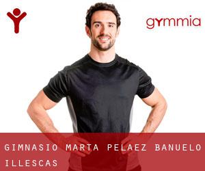 Gimnasio Marta Pelaez Bañuelo (Illescas)
