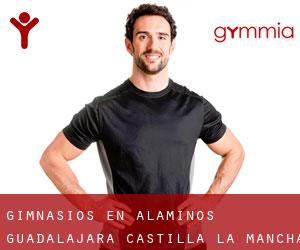gimnasios en Alaminos (Guadalajara, Castilla-La Mancha) gimnasios en Alaminos (Guadalajara, Castilla-La Mancha)