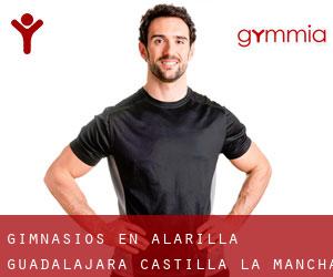 gimnasios en Alarilla (Guadalajara, Castilla-La Mancha)