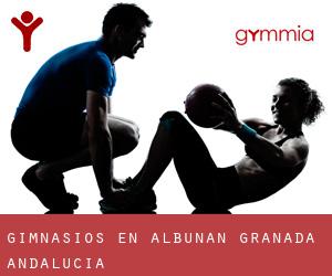 gimnasios en Albuñán (Granada, Andalucía)