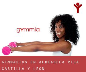 gimnasios en Aldeaseca (Ávila, Castilla y León)