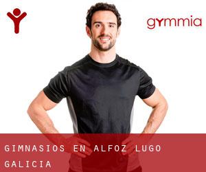 gimnasios en Alfoz (Lugo, Galicia)