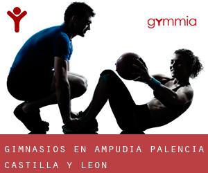 gimnasios en Ampudia (Palencia, Castilla y León)