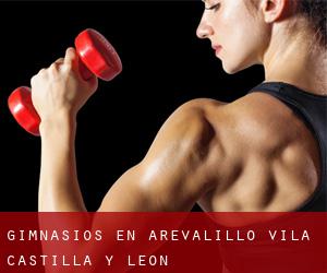 gimnasios en Arevalillo (Ávila, Castilla y León) gimnasios en Arevalillo (Ávila, Castilla y León)