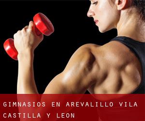 gimnasios en Arevalillo (Ávila, Castilla y León)