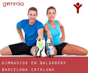 gimnasios en Balsareny (Barcelona, Cataluña)