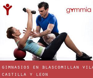 gimnasios en Blascomillán (Ávila, Castilla y León)