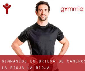 gimnasios en Brieva de Cameros (La Rioja, La Rioja)