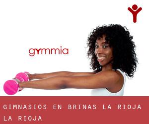 gimnasios en Briñas (La Rioja, La Rioja)