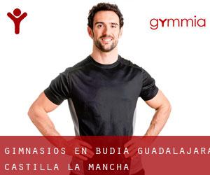 gimnasios en Budia (Guadalajara, Castilla-La Mancha)