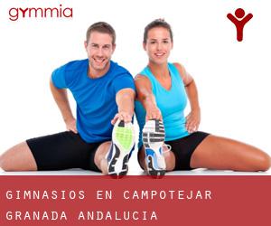 gimnasios en Campotéjar (Granada, Andalucía) gimnasios en Campotéjar (Granada, Andalucía)