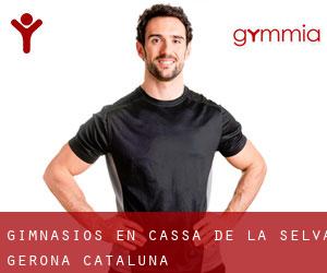 gimnasios en Cassà de la Selva (Gerona, Cataluña) gimnasios en Cassà de la Selva (Gerona, Cataluña)