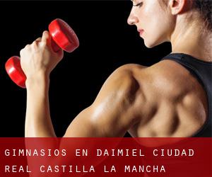 gimnasios en Daimiel (Ciudad Real, Castilla-La Mancha)