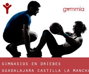 gimnasios en Driebes (Guadalajara, Castilla-La Mancha)