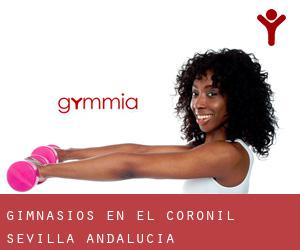 gimnasios en El Coronil (Sevilla, Andalucía)