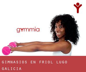 gimnasios en Friol (Lugo, Galicia) gimnasios en Friol (Lugo, Galicia)