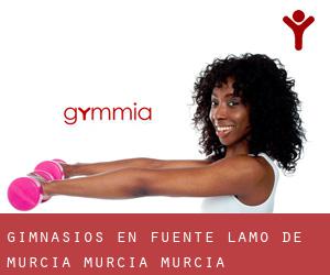 gimnasios en Fuente Álamo de Murcia (Murcia, Murcia) gimnasios en Fuente Álamo de Murcia (Murcia, Murcia)