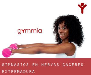 gimnasios en Hervás (Cáceres, Extremadura)