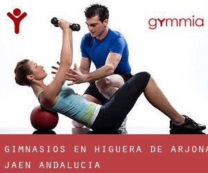gimnasios en Higuera de Arjona (Jaén, Andalucía) gimnasios en Higuera de Arjona (Jaén, Andalucía)