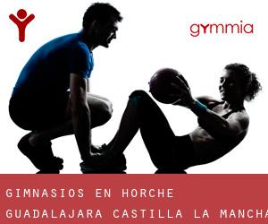 gimnasios en Horche (Guadalajara, Castilla-La Mancha)