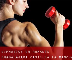 gimnasios en Humanes (Guadalajara, Castilla-La Mancha)