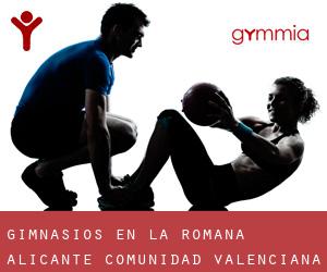 gimnasios en La Romana (Alicante, Comunidad Valenciana)