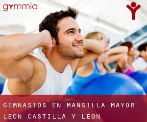 gimnasios en Mansilla Mayor (León, Castilla y León)