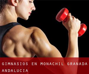 gimnasios en Monachil (Granada, Andalucía)