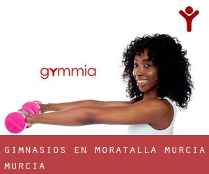 gimnasios en Moratalla (Murcia, Murcia)