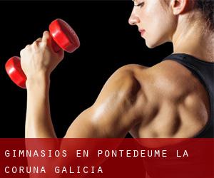 gimnasios en Pontedeume (La Coruña, Galicia) gimnasios en Pontedeume (La Coruña, Galicia)