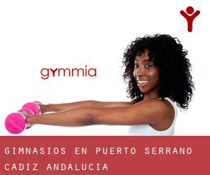 gimnasios en Puerto Serrano (Cádiz, Andalucía) gimnasios en Puerto Serrano (Cádiz, Andalucía)