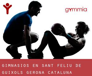 gimnasios en Sant Feliu de Guíxols (Gerona, Cataluña)