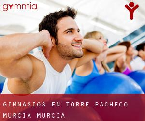 gimnasios en Torre-Pacheco (Murcia, Murcia) gimnasios en Torre-Pacheco (Murcia, Murcia)