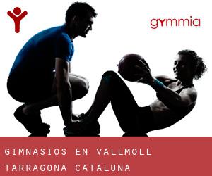 gimnasios en Vallmoll (Tarragona, Cataluña)