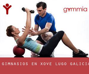 gimnasios en Xove (Lugo, Galicia)